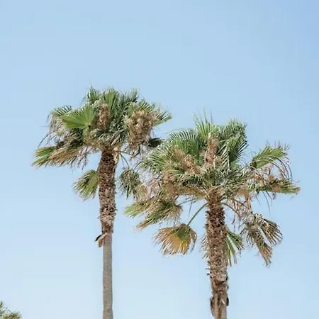 8 Min Walk To Harbour 公寓 *